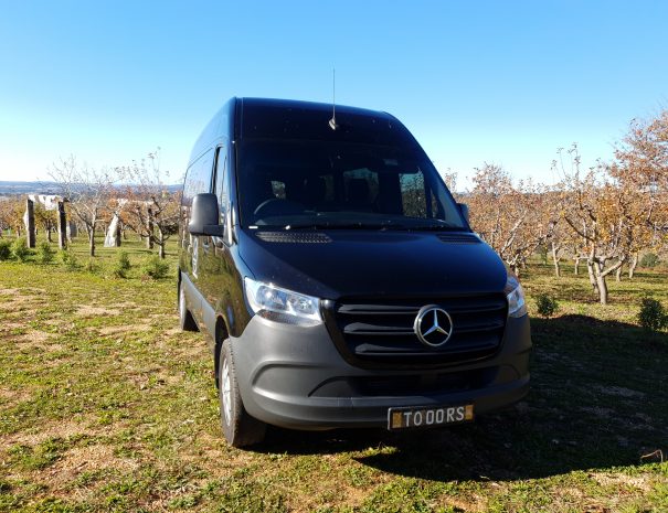 Mercedes Sprinter charter Sydney